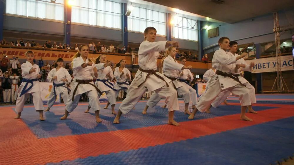 Спк успех новосибирск каратэ. Карате успех. Кордун олег олегович карате. Карате успех. Карате успех.