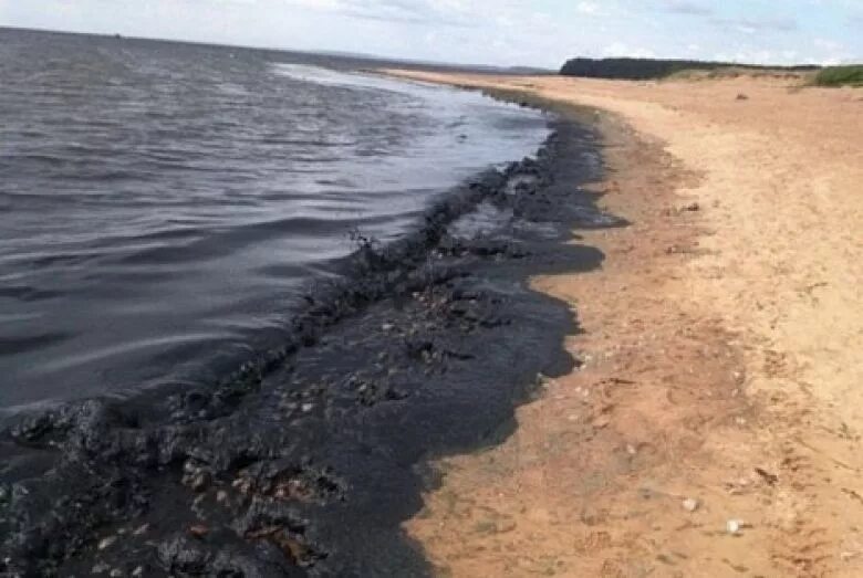 Загрязненный финский залив. Финский залив загрязнение воды. Финский залив экологические проблемы. Разливы нефти в Волге 2020. Берега залитые водой