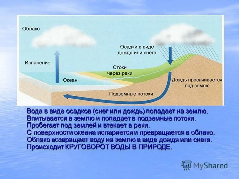 Вода из реки попадает. Подземные воды схема. На земле и под водой. Подземные воды почва. Вода проникает в почву.