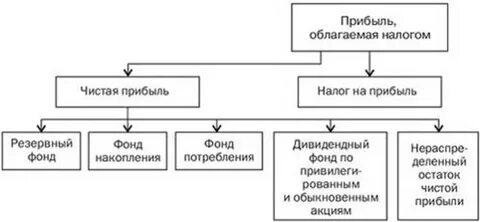 Норма распределения прибыли