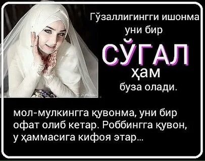 Бир келип