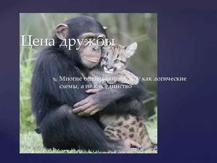 Дружба это бескорыстное взаимоотношение