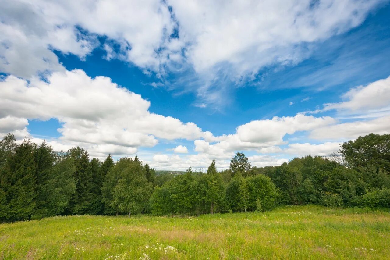 Небо лес. Панорама леса. лес и небо. лес небо панорама. лес облака.