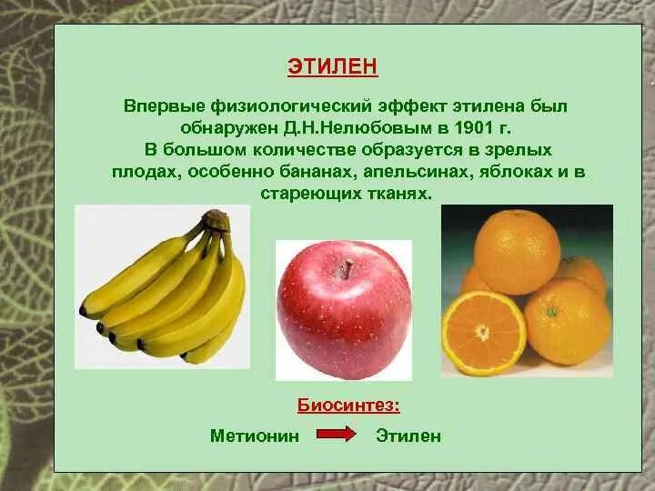 Этилен для созревания плодов. Этилен в фруктах. Этилен в овощах и фруктах. Овощи и фрукты выделяющие Этилен. Этилен созревание