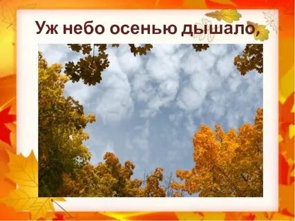 Осень осень небо просим
