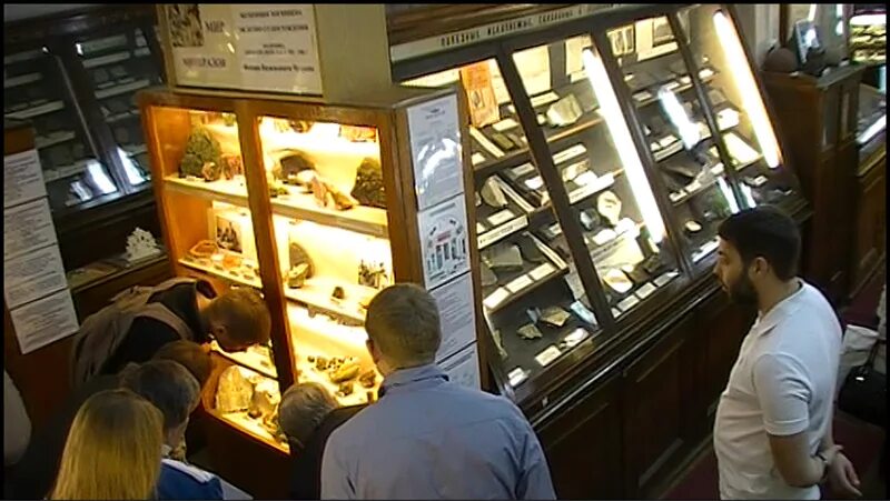 академический сити. необычные музеи мира для детей. академическая (станция метро, калужско-рижская линия). дарвиновский музей академическая. музей палеонтологии орлова в москве.