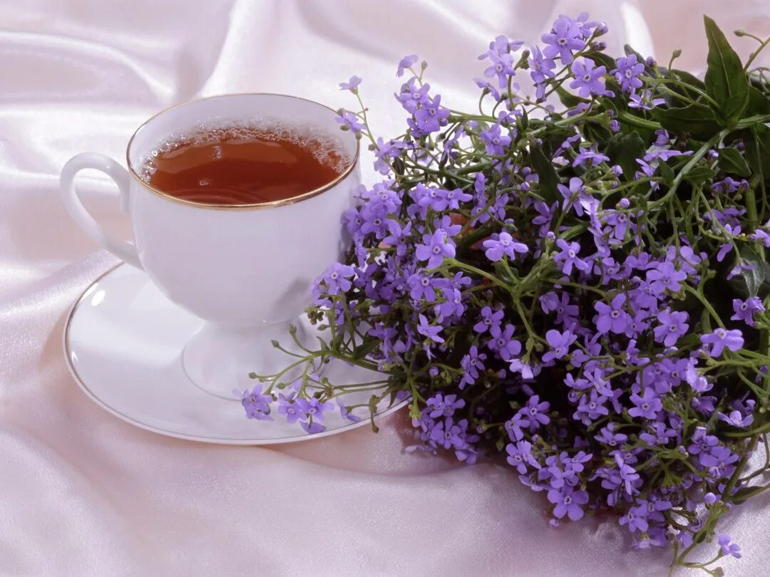 Доброе апрельское утречко хорошего дня. Чай с чабрецом. Утро чай цветы. Красивые пожелания с добрым утром. Чай с тимьяном.