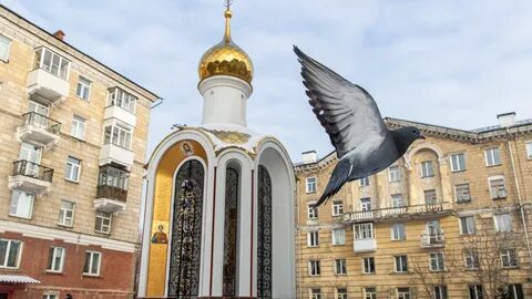 Святой новосибирск