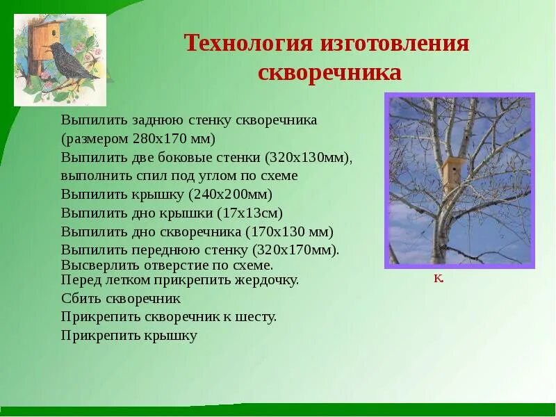 Проект ученика 6 класса по изготовлению скворечника Как правильно сделать скворечник