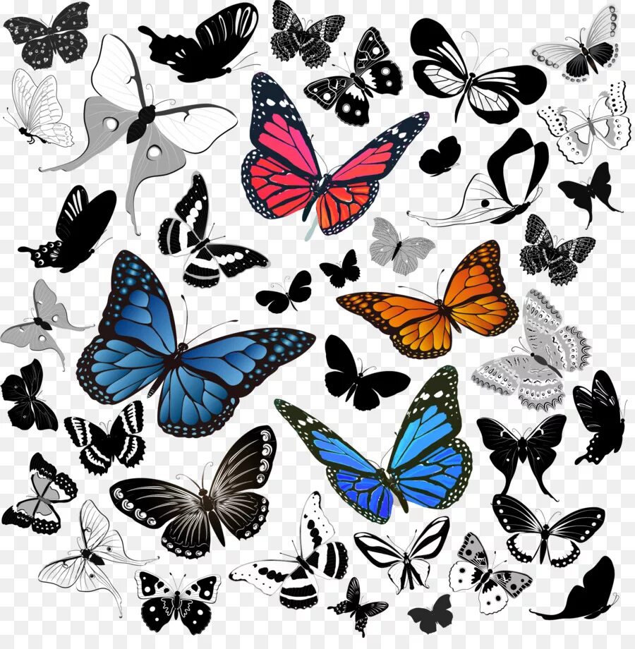 Butterfly pattern