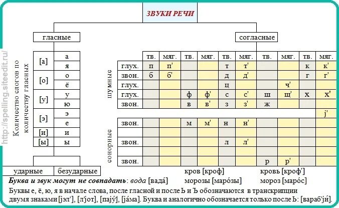 Звуковое система слов