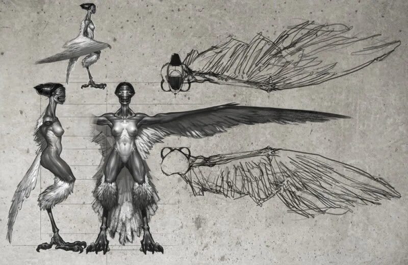 Крылатые ноги. Гарпия мифология референс. Гарпия концепт арт. Гарпия птица мифология. Гарпия референс крыльев.