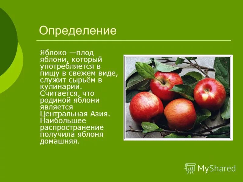 Яблоня относится к растениям. Презентация на тему яблоко. Яблоко для презентации. Яблоня для презентации. Доклад про яблоню.