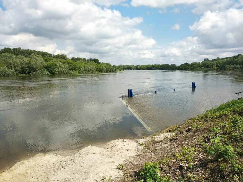 Уровень воды в реке ока в орле. Пристань в лесопарке Рязань. Лесопарк Рязань Ока. Желнино река Ока. Ока пляж Свинчус.