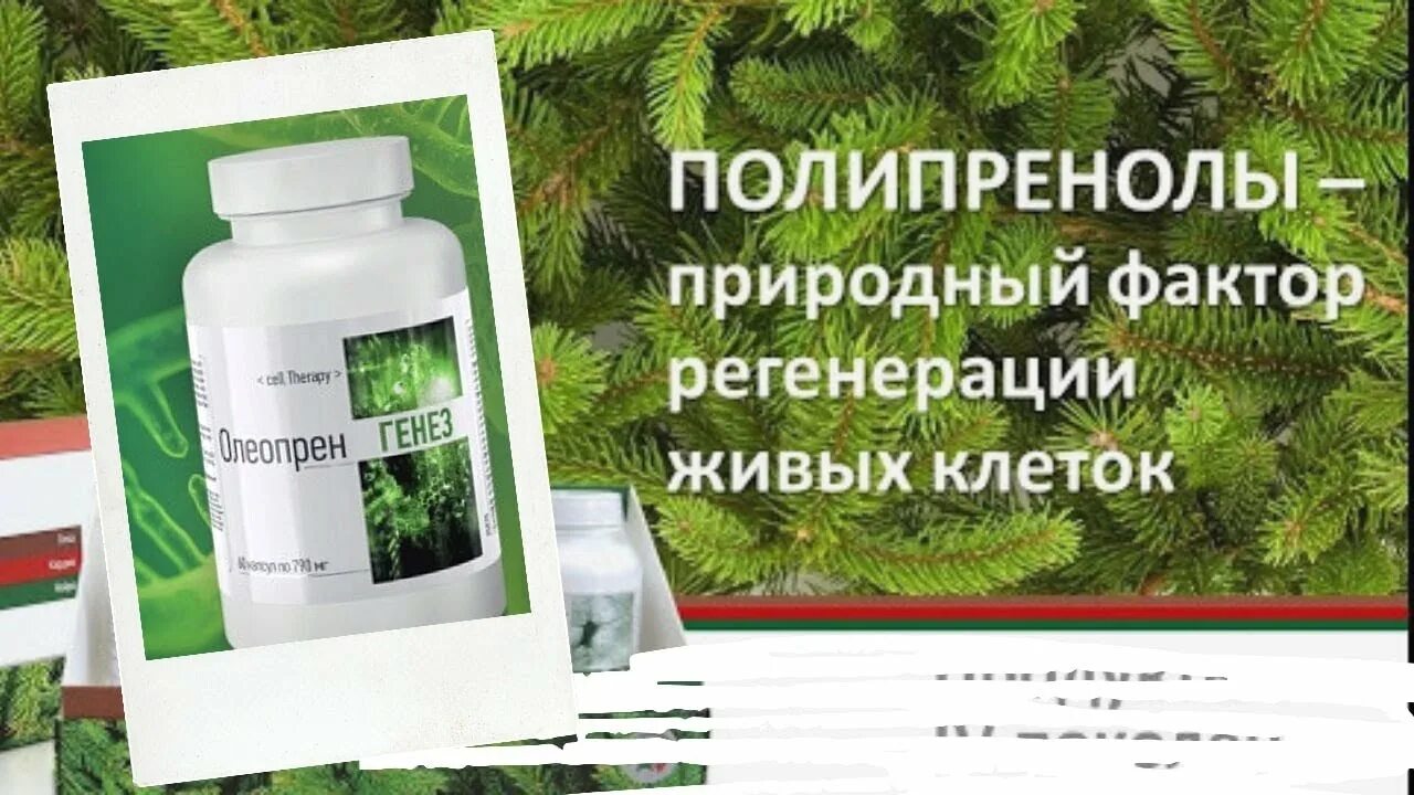 Полипренолы что это такое и для чего. Олеопрен генез арт лайф. полипренолы препараты. полипренолы в аптеке. олеопрен гепа.