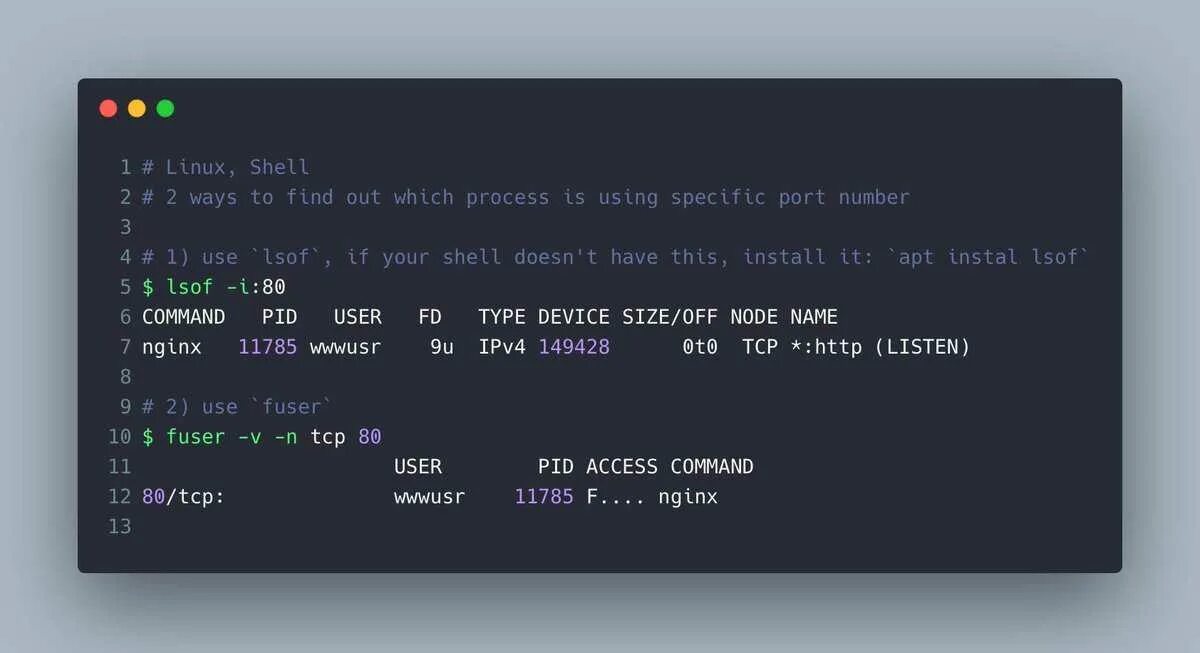 Bash ubuntu