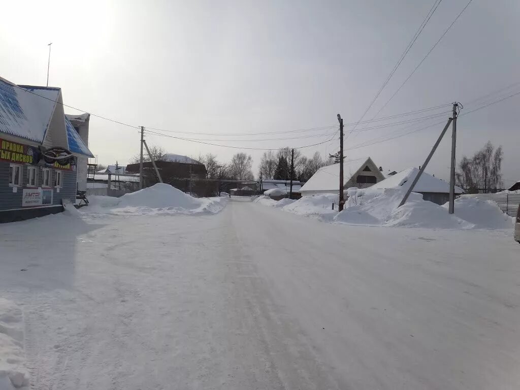 алтайский край тальменский район село барсуково. деревня шишкино тальменский район. шишкино тальменский район алтайский край. погода шишкино алтайский край тальменский край. село шишкино алтайский край тальменский район.