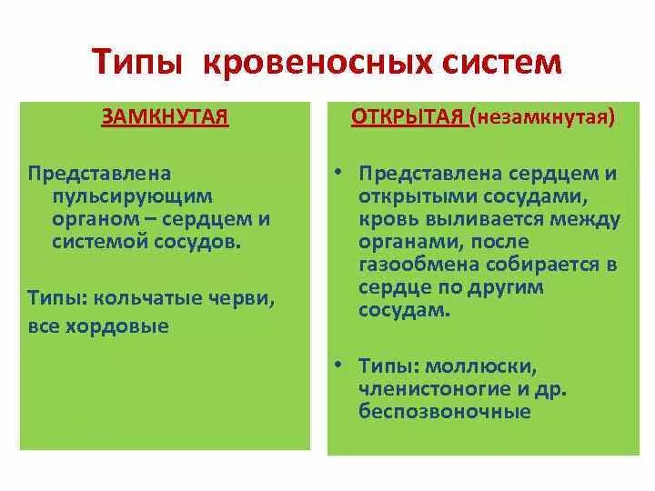 Плюсы и минусы замкнутой и незамкнутой кровеносных систем. Типы кровеносных систем. Таблица типы кровеносных систем организмов замкнутая незамкнутая. Различия между замкнутой и разомкнутой системами.