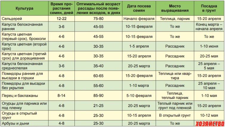 Когда можно сеять семена в грунт