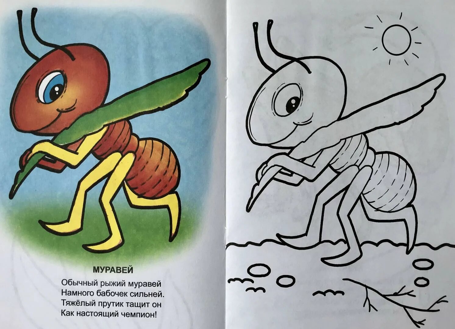 Книжка малышка знаешь ли ты насекомых. Книжки-малышки для детей насекомые. Книжка малышка насекомые. Книжка малышканасекосые.