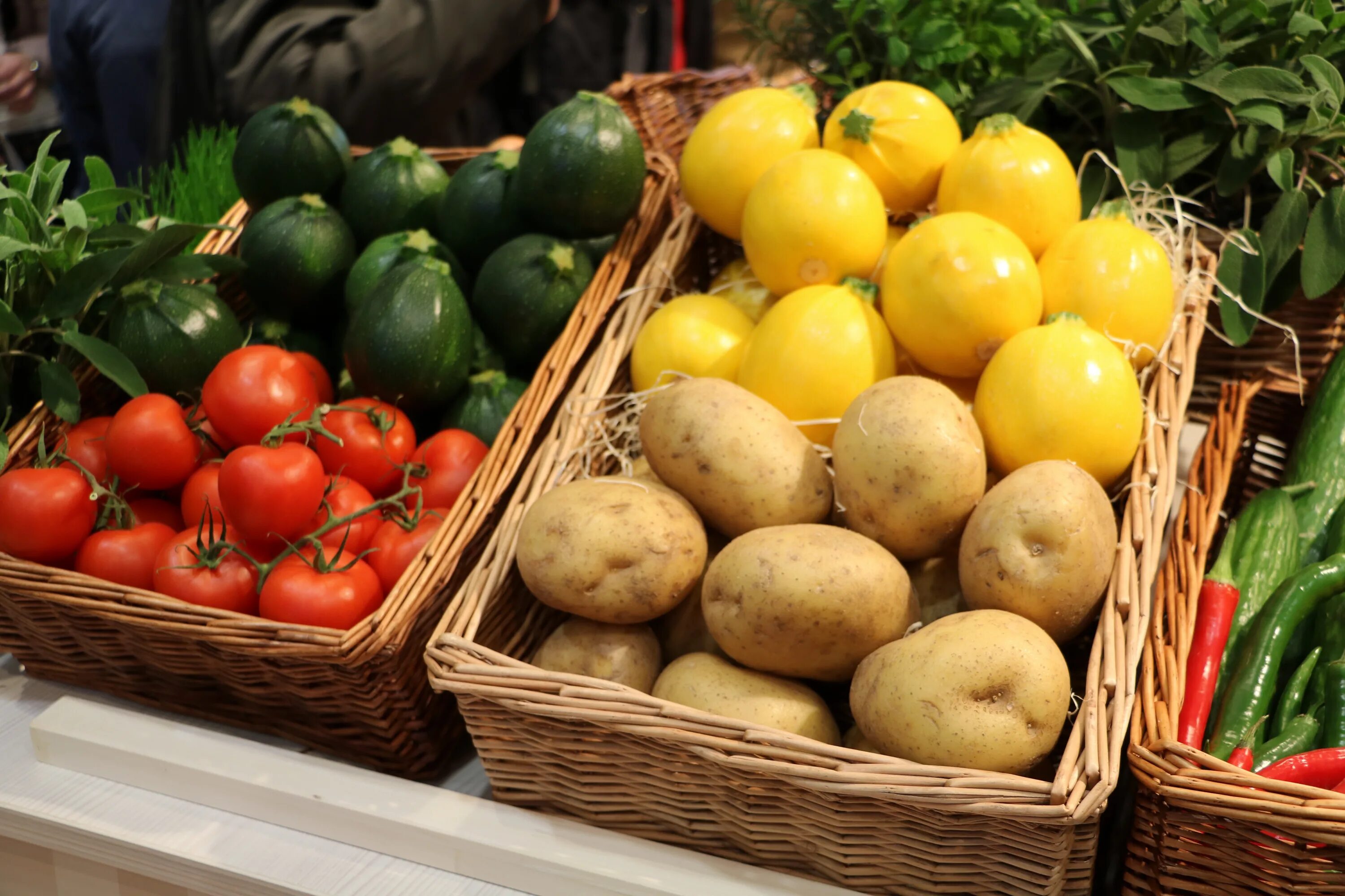 Картошка овощ или фрукт. Фрукты. Овощи картофель. Фрукты с огорода. Овощные растения.