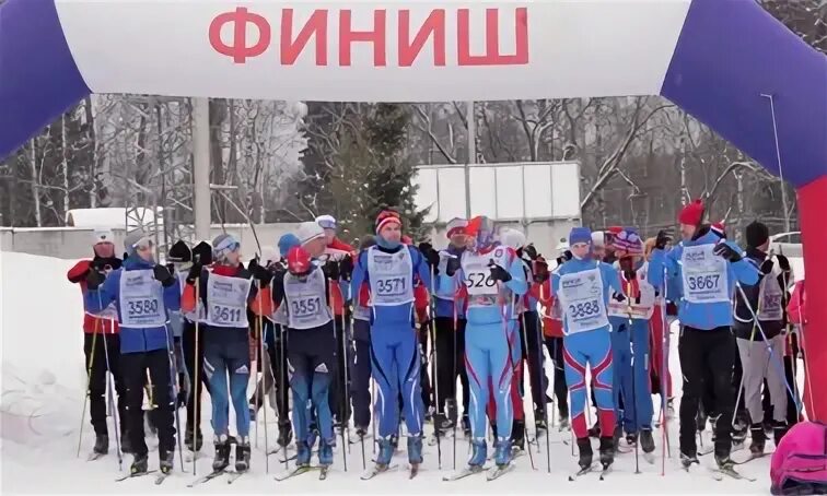 Лыжня кольчугино. Лыжня кольчугино