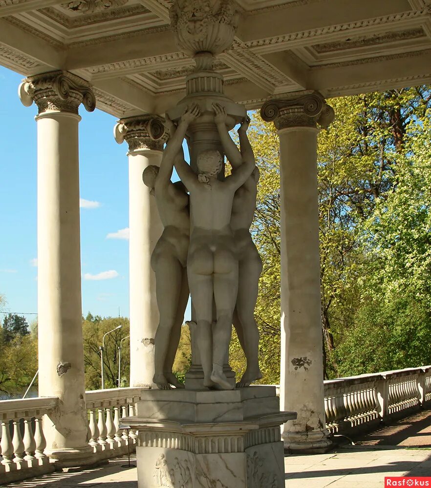 три грации боттичелли. фото трех граций. три грации. карло финелли. сандро боттичелли хариты.