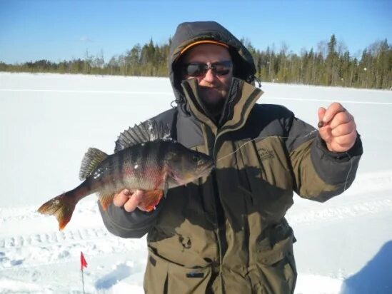 архангельский клев. рыболовство в архангельской области. ижмозеро архангельск рыбалка. хариус колыма. архангельский клев.