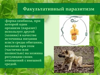Форма совместного существования организмов