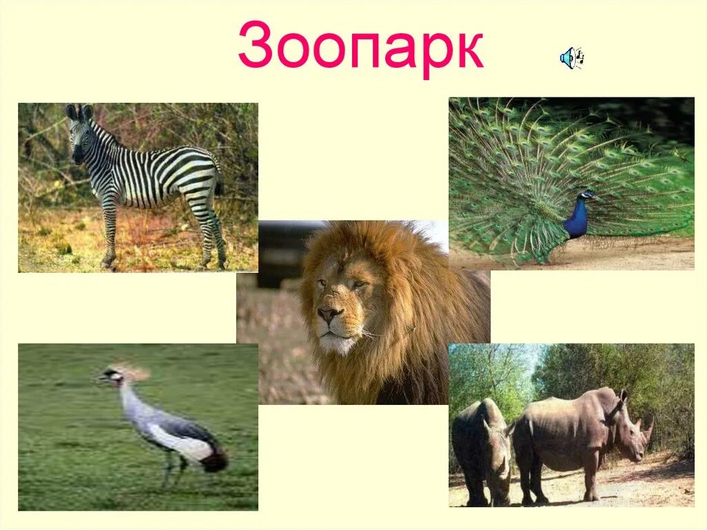 Картинки ЧТО ТАКОЕ ЗООПАРК 1 КЛАСС ВИДЕОУРОК