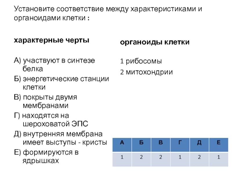 Установите соответствие между характеристиками и органоидами клетки. Установи соответствие между органоидами клетки и их характеристики. Установите соответствие между характеристикой органоида и его видом. Установите соответствие между органоидом клетки и его функцией.