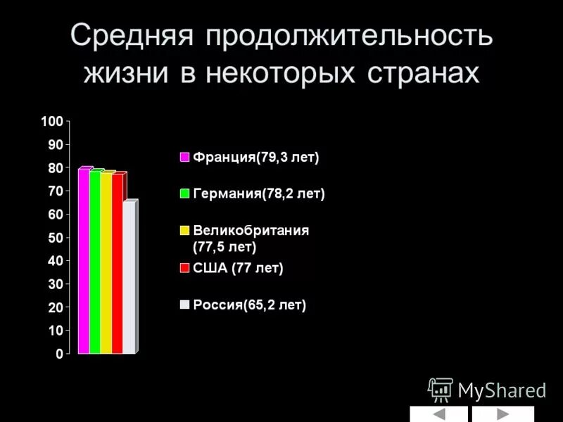 Срок жизни проекта