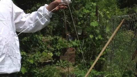 Как сажать огурцы с крапивой