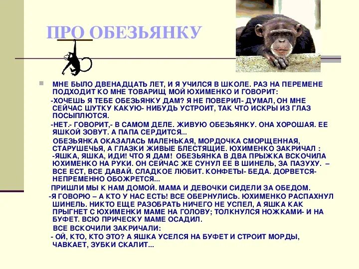 Пересказ про обезьянку. Рассказ про обезьянку 3 класс. Рассказ о обезьяне 3 класс. План рассказа про обезьяну.