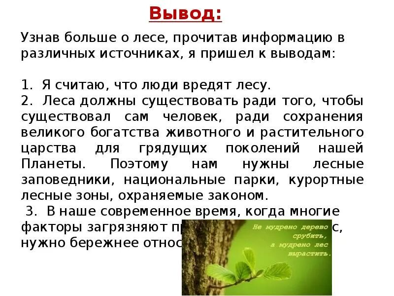 Какую работу выполняет лес. Природные сообщества заключение. природное сообщество лес. природное сообщество вывод. вывод на тему природное сообщество лес.