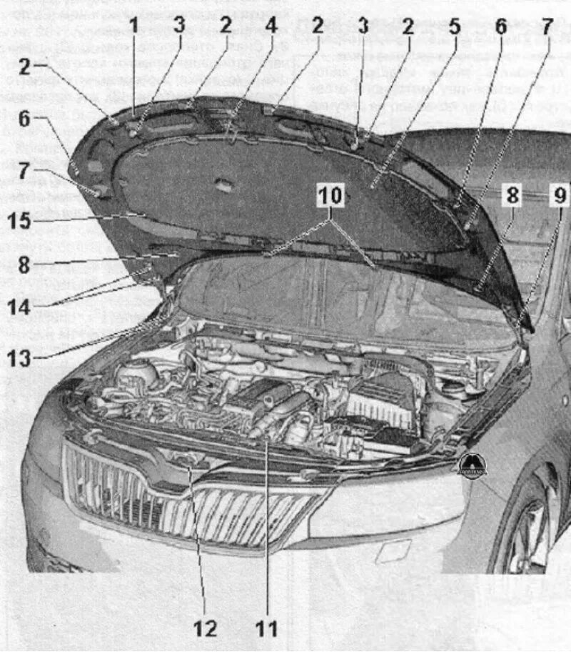 Название деталей капота. Шкода Рапид детали кузова схема. Капот Рапид 2014. Детали капота Рапид. Skoda Rapid кузов схема.