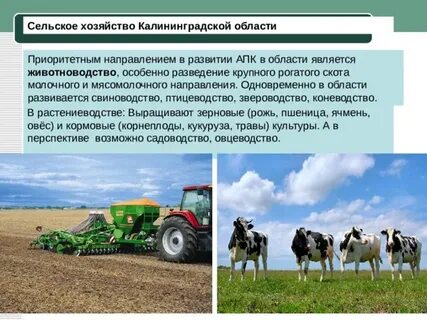 Отрасли природного хозяйства