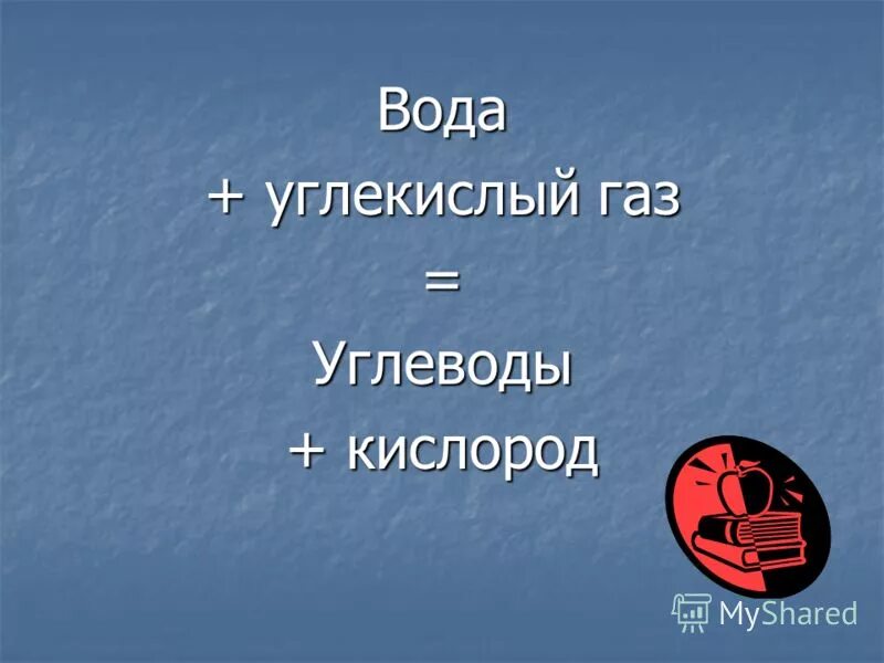 Углекислый газ вода углевод кислород