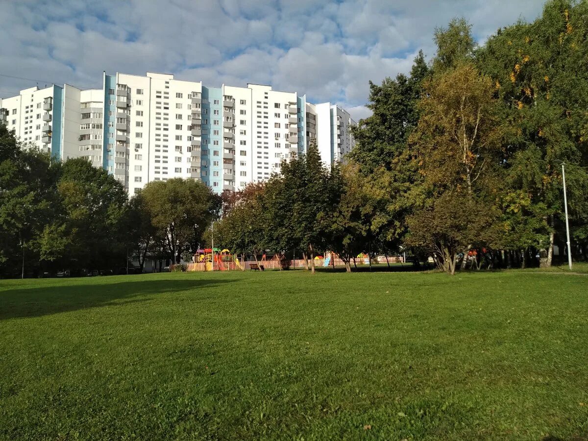 Ясень в Ясенево. Деревня Ясенево. Терравей Ясенево. Ясенево (район Москвы). Садовый ясенево