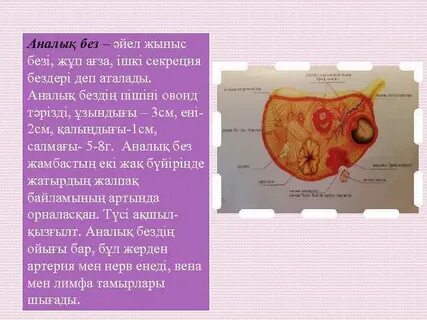 Гей-порно солдатқа сілтеме