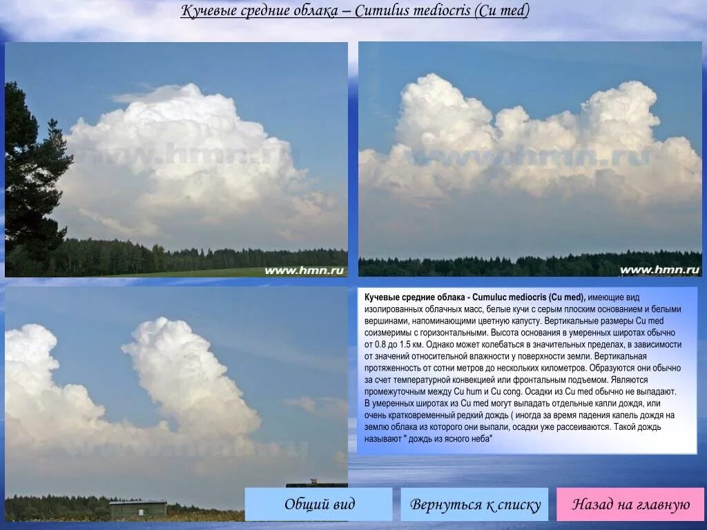 Кучевые средние облака. Атлас облаков. Высота на которой образуются Кучевые облака. Кучевые облака с подписью.