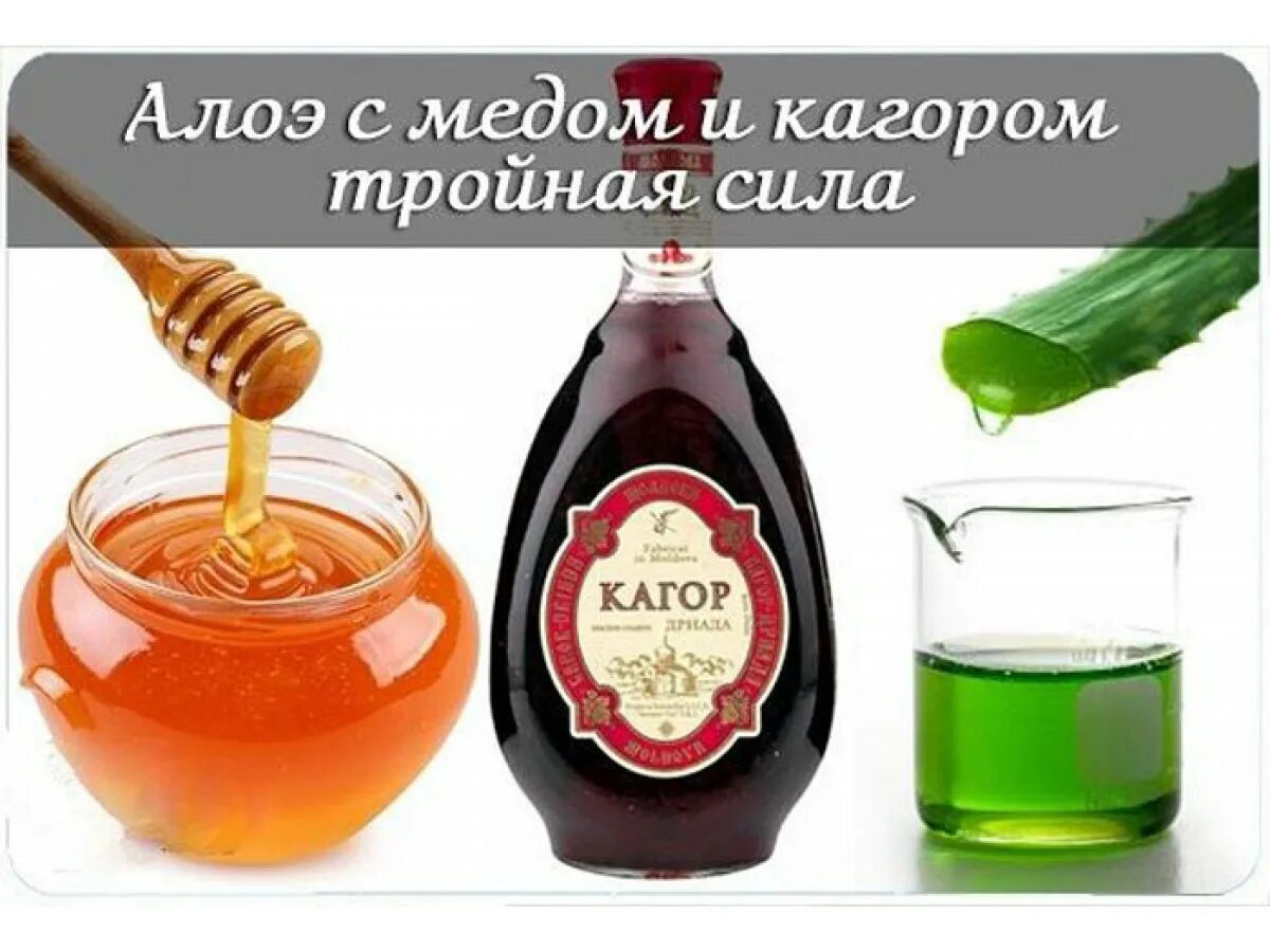 Алоэ мед кагор. Алоэ с медом и кагором тройная сила. Смесь лечебная : алоэ, кагор, мед. Смесь алоэ меда и кагора. Алоэ коньяком