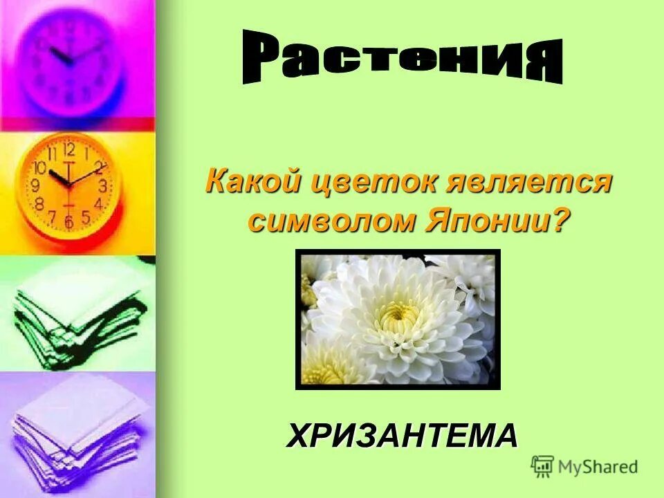 Какой цветок является символом дня. Ромашка символ россии. Какой цветок является символом дня. Вопросы викторины день семьи. Какой цветок является символом россии.