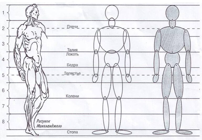 Люди изо. Пропорции человека схема. Пропорции фигуры человека. Изображение человека по пропорциям. Пропорции человека рисунок.