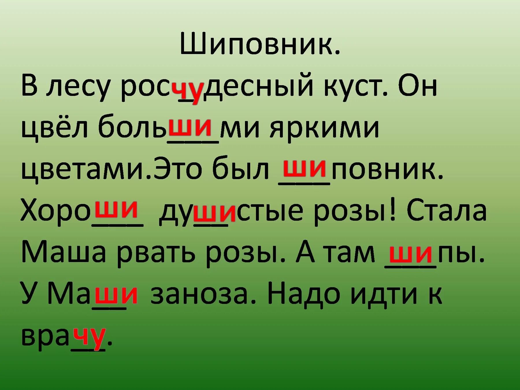 Слова на правила чу щу. Слова с жи ши. Слова с же ше. Текст с жи ши. Слова и предложения с жи ши.