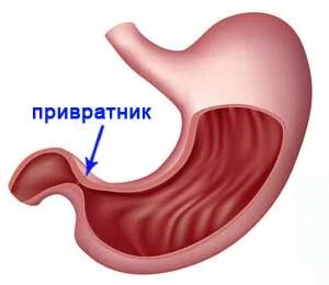 Функциональная недостаточность привратника