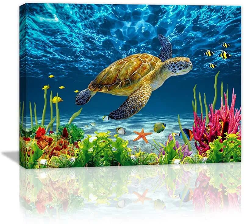 Возможность изображения картинки на экране холста turtle