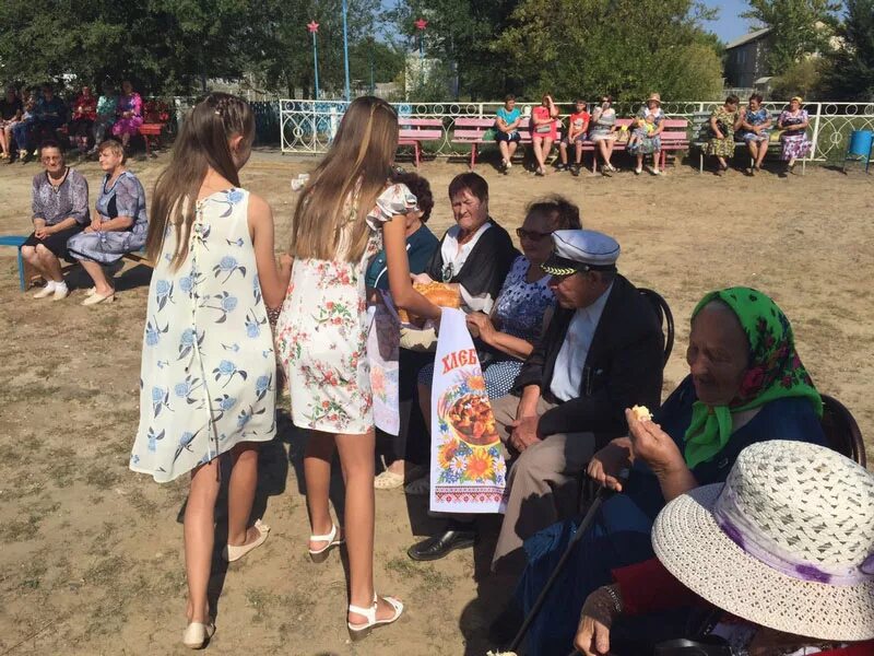 Погода в станице сергиевской даниловского