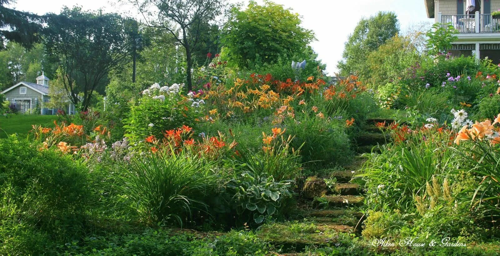 Сад Каролин Айкен. Айкен Хаус и Гарден. Сад в августе. Сады матери. This our garden