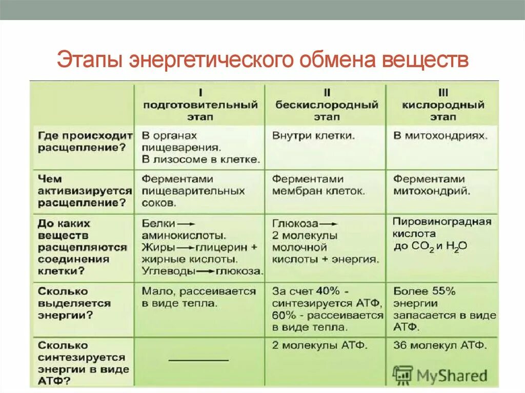 Энергетическим обменом является